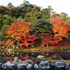 River, Japan, trees, viewes, color, Kyoto