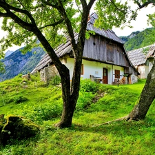 trees, viewes, Home, farm, country