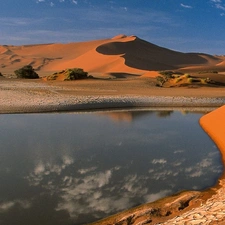 trees, viewes, container, water, Desert