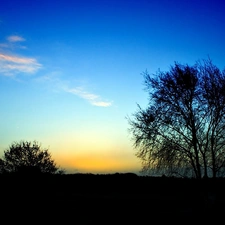 trees, viewes, on, Sky, end