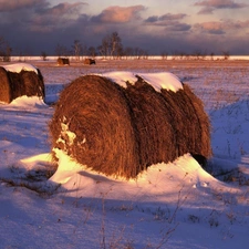 trees, viewes, Bele, Hay, Field