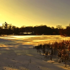 trees, viewes, lake, winter, frozen