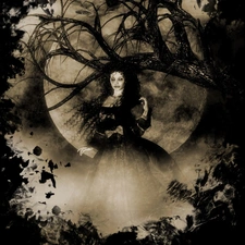 trees, viewes, Women, moon, graphics