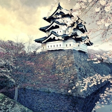 trees, viewes, house, flourishing, Japan