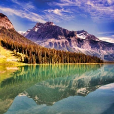 trees, viewes, Mountains, reflection, lake