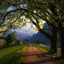 trees, viewes, Way, buildings, Mountains