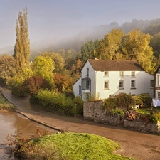 trees, viewes, at, The River, house