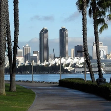 trees, viewes, skyscraper, Way, San Diego