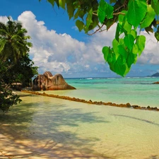 trees, viewes, Beaches, Rocks, sea