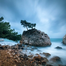 trees, viewes, rocks, Stones, sea