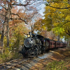 Wagons, locomotive, trees, viewes, track, steam