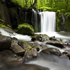 trees, viewes, water, Stones, waterfall