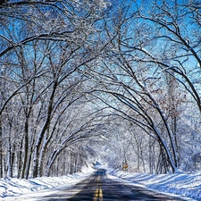 trees, viewes, winter, snow, Way