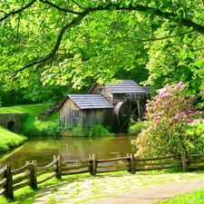 trees, viewes, water, brook, Windmill