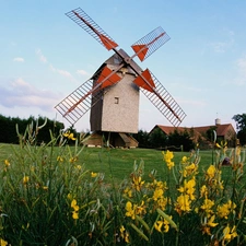 trees, viewes, meadow, Flowers, Windmill