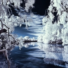 trees, viewes, Aura, River, Winter