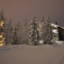 trees, viewes, Home, Snowy, winter