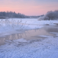 trees, viewes, Russia, Frost, Karelia, River, winter, White frost