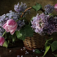 Tulips, basket, flowers, Lilacs, bouquet