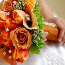 Tulips, wedded, bouquet