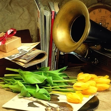 gramophone, Tulips