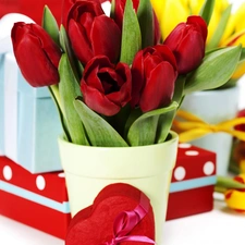 Tulips, Heart teddybear, Valentine