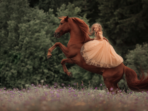 girl, dress, Horse, tulle