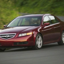 Cherry, driver, turn, Acura TL