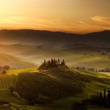 Tuscany, Italy, field, The Hills, Sunrise, Fog, viewes, cypresses, trees