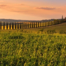 Tuscany, Italy, The Hills, field, Way, house, viewes, cypresses, trees