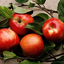 apples, Twigs
