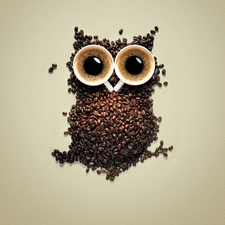 Two, cups, grains, coffee, owl