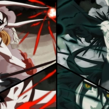 Ulquiorra, Fight, Ichigo