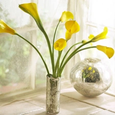 Vase, Yellow, Calla