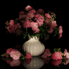 Flowers, Vase, Japanese Spirea, bouquet