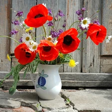 Vase, bouquet, papavers