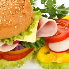 hamburger, ham, vegetables, cheese