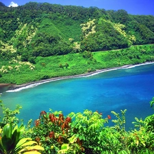 Mountains, sea, VEGETATION, Coast