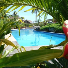 VEGETATION, Garden, Pool