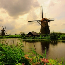 VEGETATION, Windmills, River