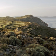 Mountains, The poor, VEGETATION