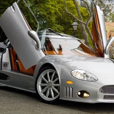 Spyker C8 Aileron, trees, viewes, square