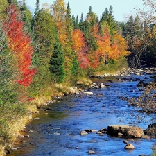 autumn, trees, viewes, River