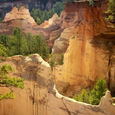 canyon, trees, viewes, rocks