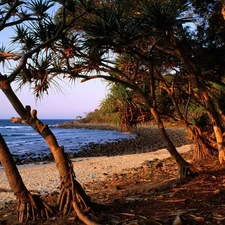 Coast, trees, viewes, Australia