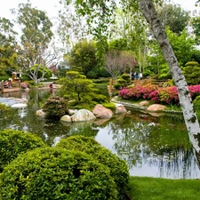 viewes, Flowers, Garden, trees, Beatyfull