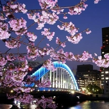 twig, Floodlit, viewes, Flowers, trees, bridge