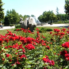 viewes, fountain, roses, trees, Park