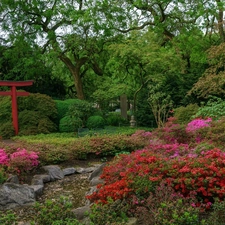 stream, Rhododendron, trees, viewes, Japanese Garden