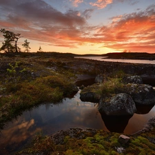 viewes, Stones, Russia, clouds, Karelia, trees, Lake Ladoga, Great Sunsets